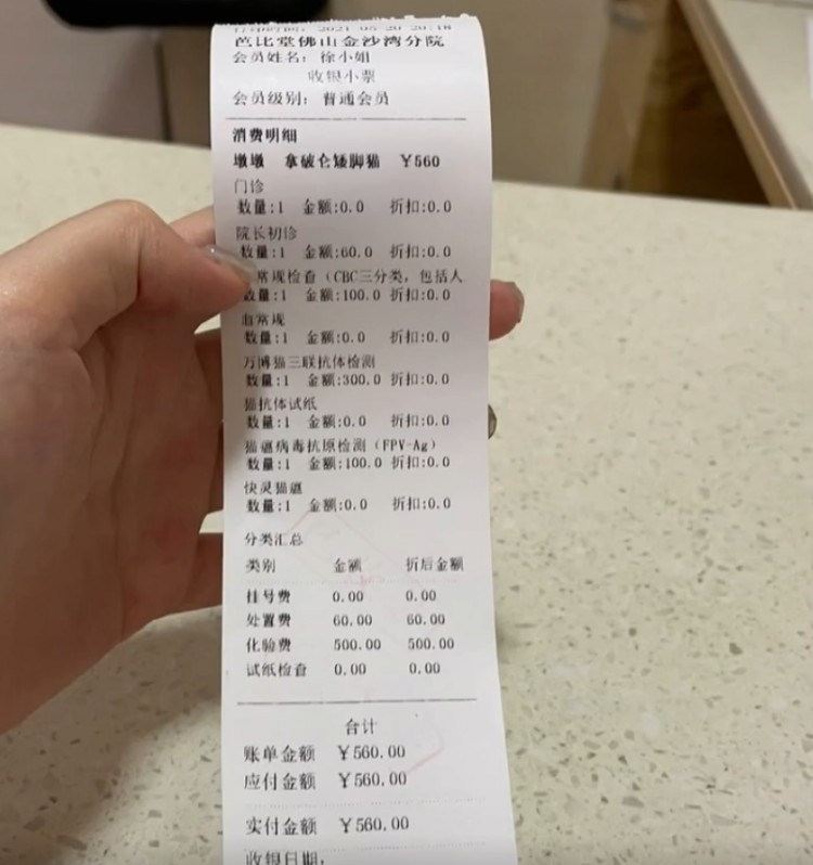 花7500买了只矮脚猫回家后发现它耳聋